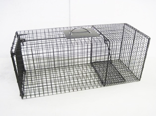 RACOON CAGE TRAP