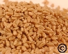 X PRAIRIE GOLD WHEAT-45LB. PAIL