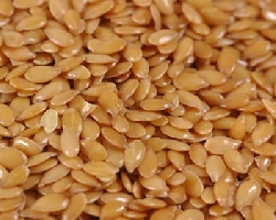 GOLDEN FLAX SEED- 5 LB. BAG