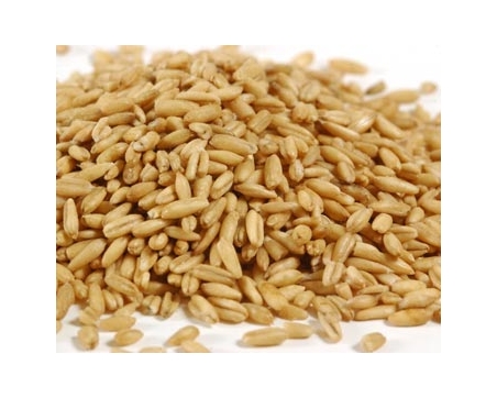 OAT GROATS 45LB. PAIL