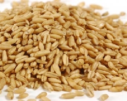 OAT GROATS 5LB. BAG