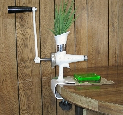 WHEAT GRASS JUICER