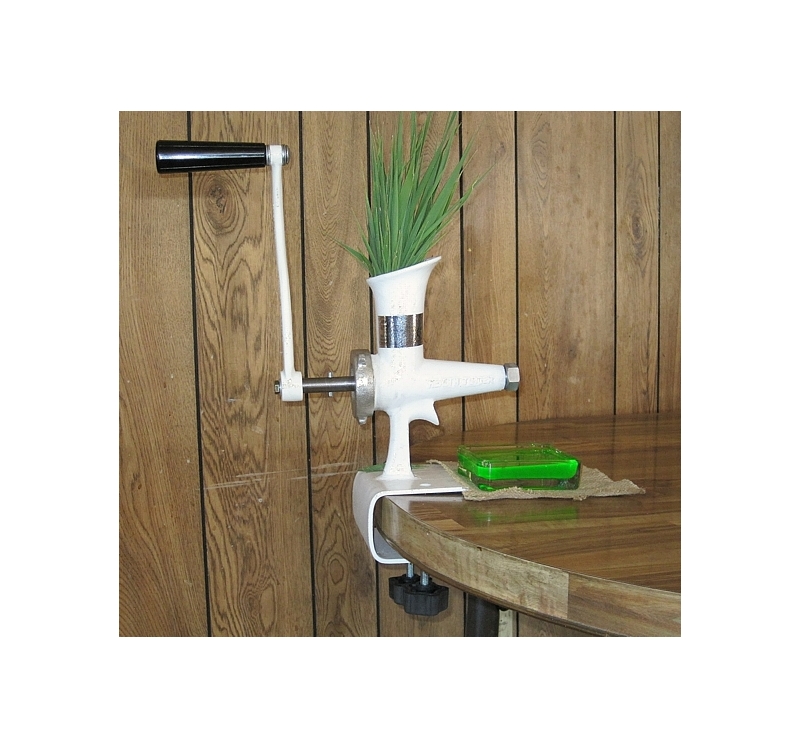 WHEAT GRASS JUICER