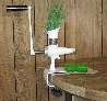 WHEAT GRASS JUICER