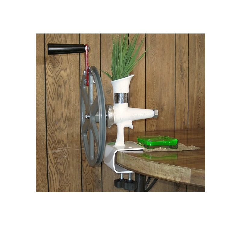 WHEAT GRASS JUICER WITH FLYWHEEL