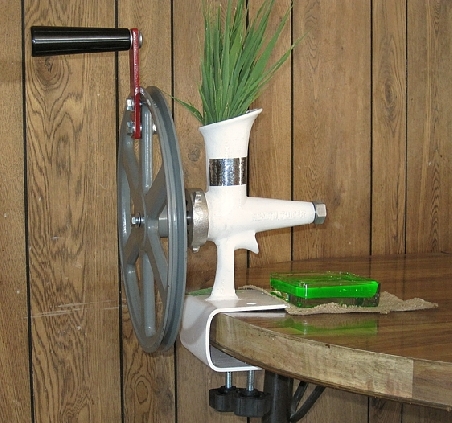 WHEAT GRASS JUICER WITH FLYWHEEL